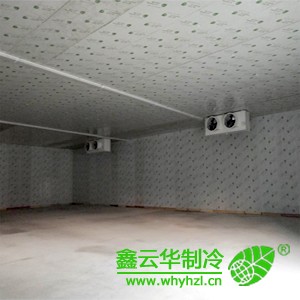 宜賓蔬菜冷庫(kù)