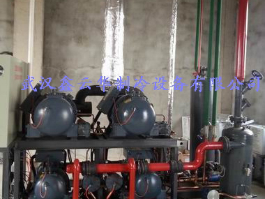 黔南湖北省某水產公司32噸速凍冷庫